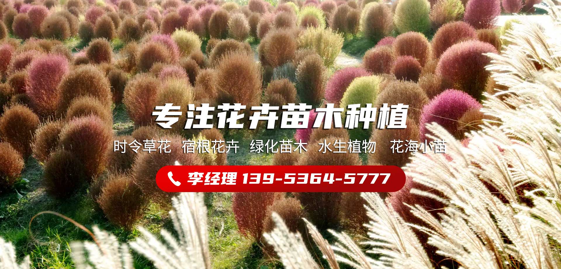 唯美園林
