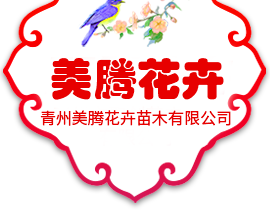 青州市木森林綠化苗木有限公司